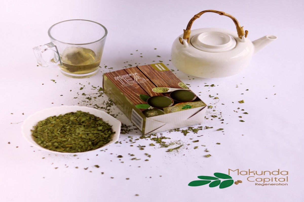 Thé de Moringa Bio Certifié from Afrique du Sud